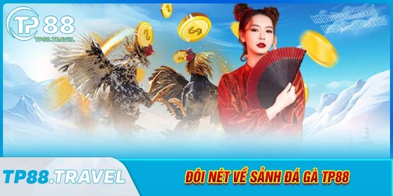 Đôi nét về sảnh đá gà tp88