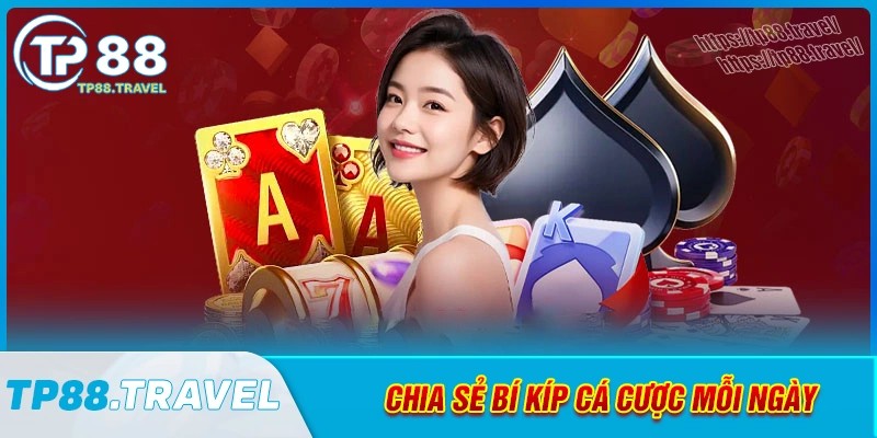 Khám phá các bí kíp cùng tỷ lệ thắng cược cực cao