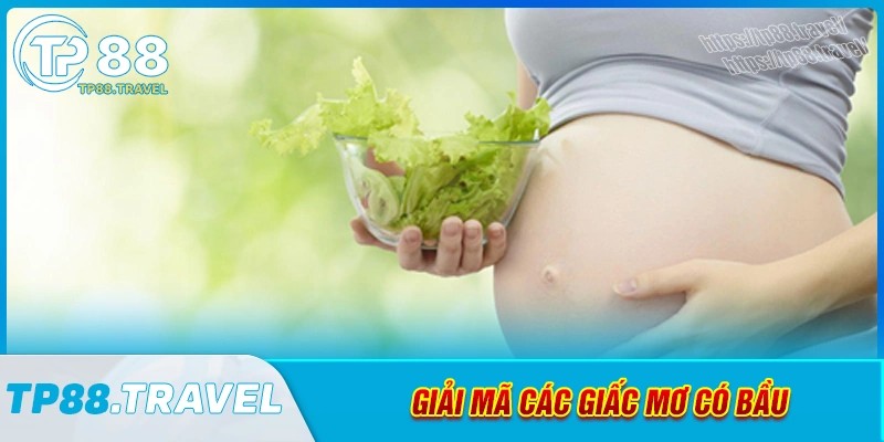 Giải mã giấc mơ thấy có bầu theo từng trường hợp