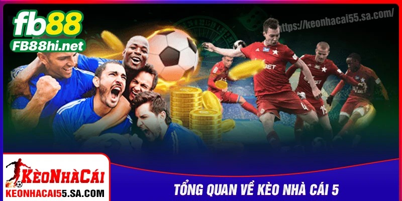 Tổng quan về website bóng đá Kèo nhà cái 5